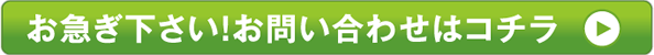 お急ぎ下さい！体験レッスンはコチラ